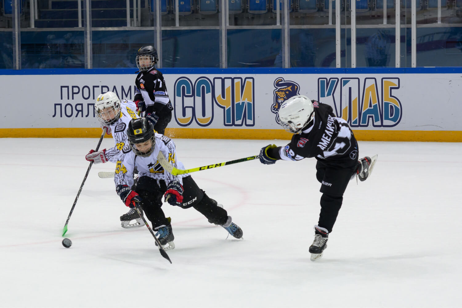 В «Сириусе» пройдет традиционный хоккейный турнир Sirius Sochi Cup -  МойСириус.рф